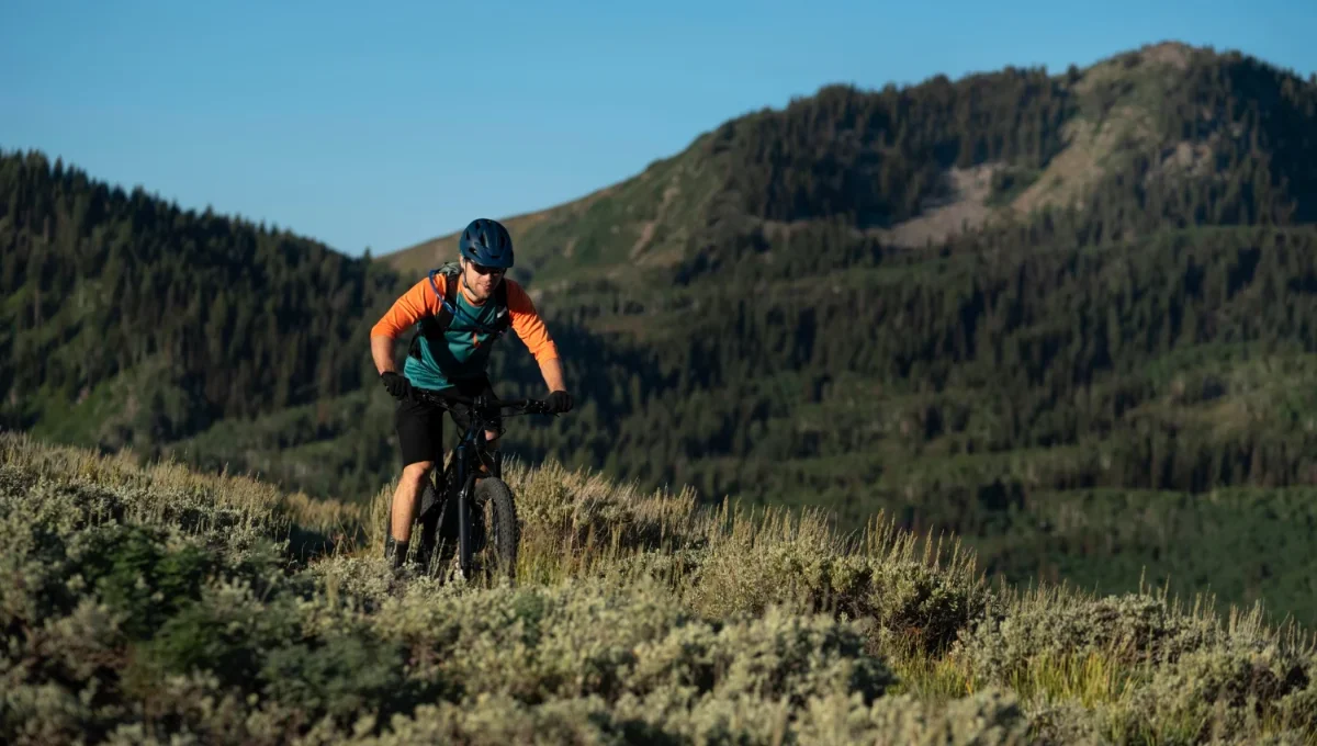 MTB Kategorije