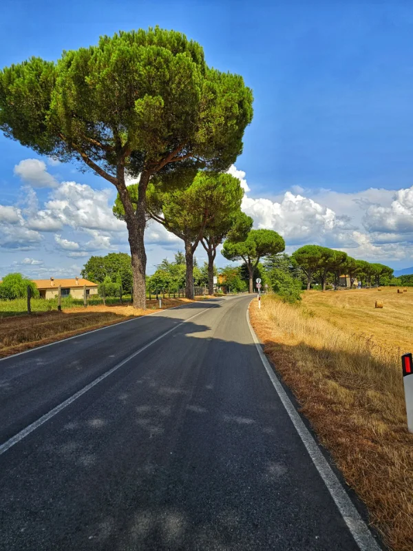 1001 Miglia Italia – najteži brevet u Europi