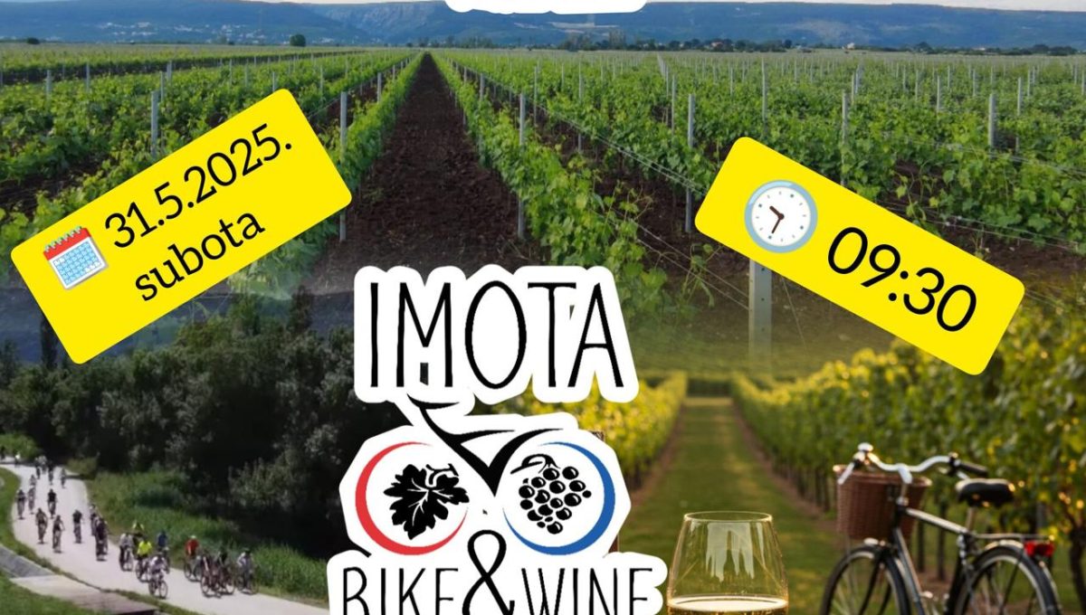 Imota Bike & Wine 7.0